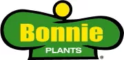 4.5 PLASTIC POT PLANT(SINGLES)