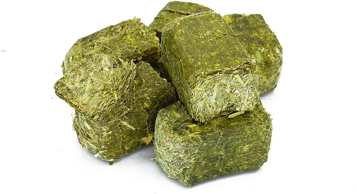 ALFALFA CUBE