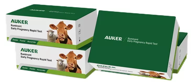 AUKER RUMINANT EARLY PREGNANCY TEST