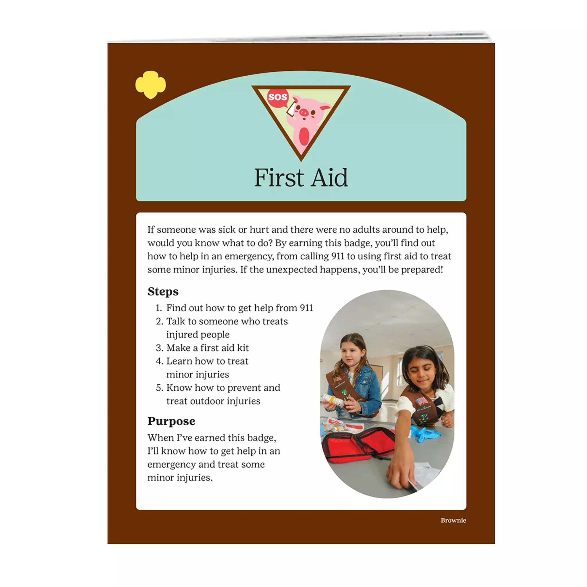 Brownie First Aid Badge Requirements