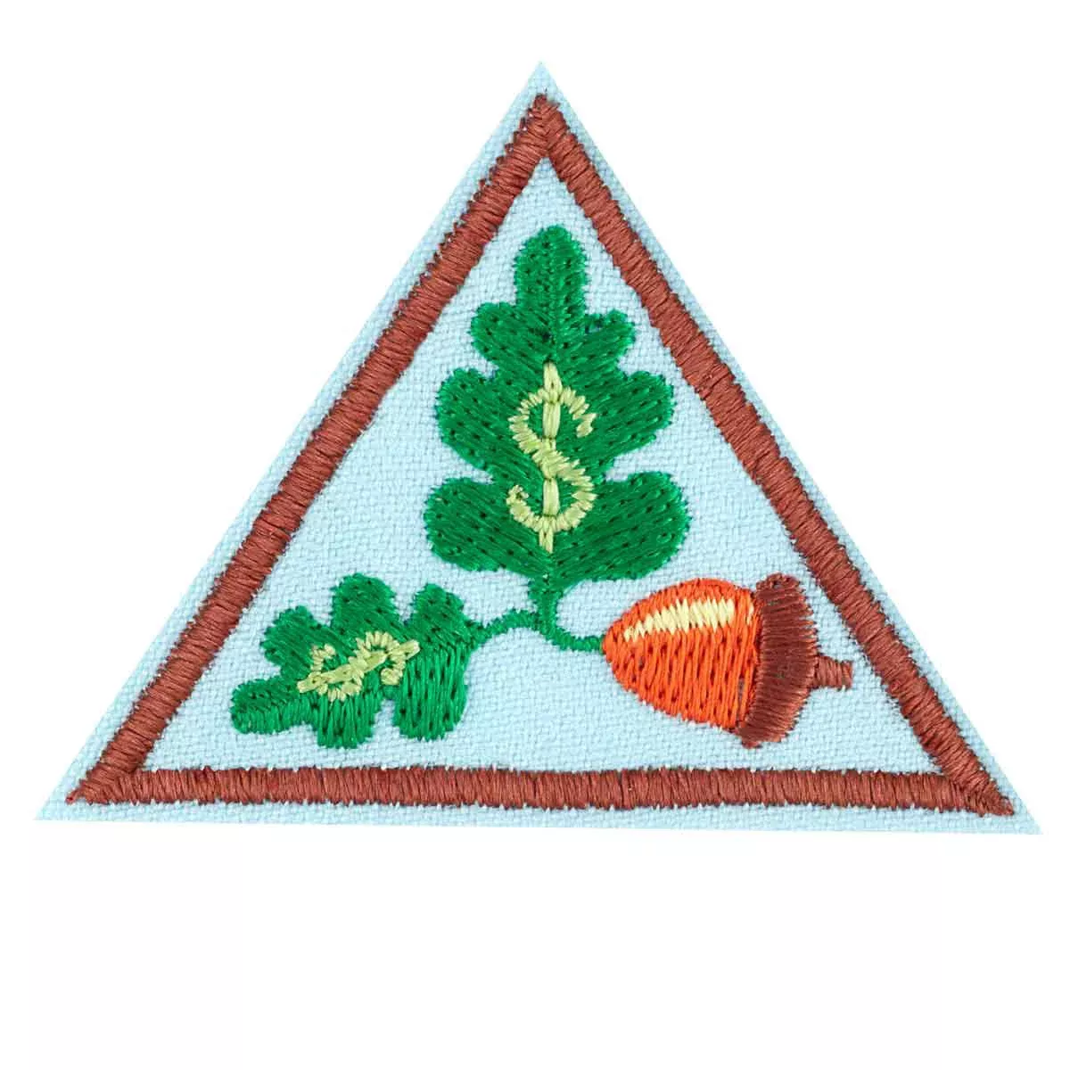 Brownie My Own Budget Badge