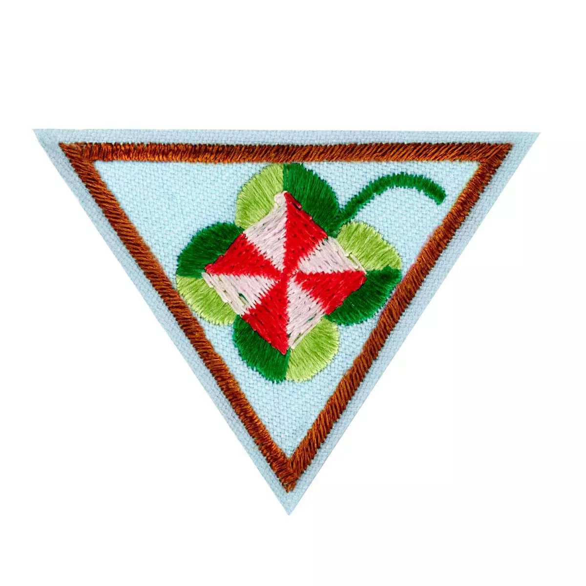 Brownie Shapes in Nature Badge