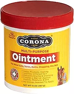 CORONA OINTMENT 14 OZ
