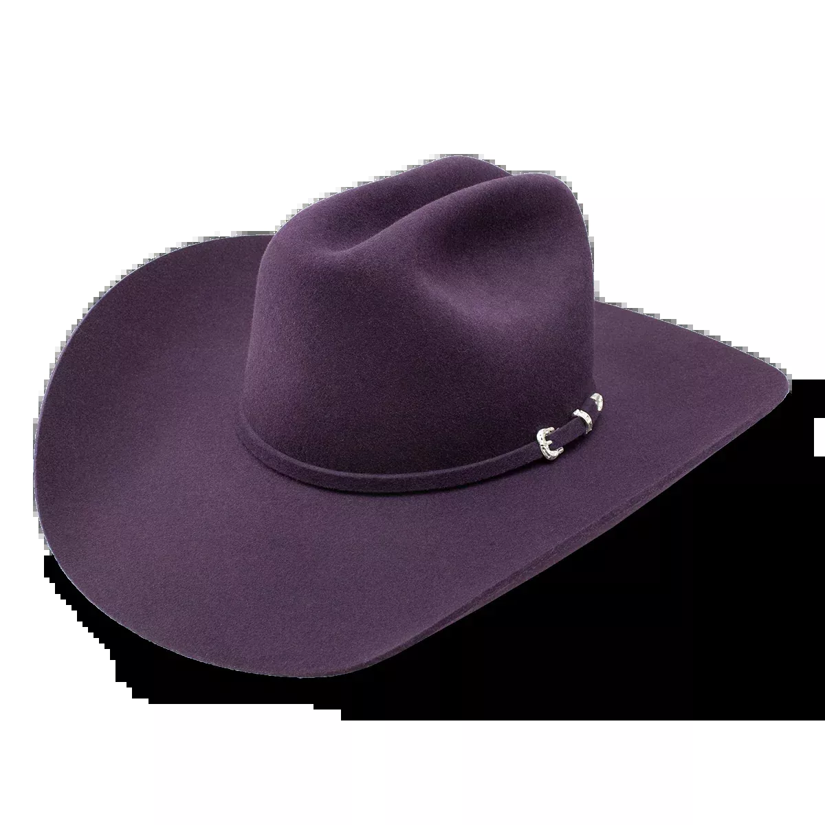 The Cowgirl Hat PURPLE