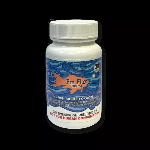 Fin Flox (Ciprofloxacin) 30CT.
