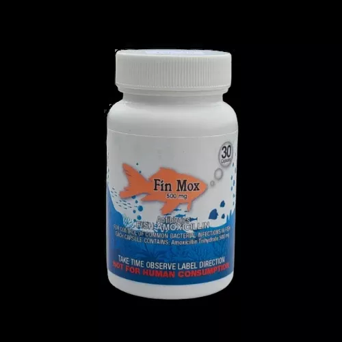 Fin Mox™ (Amoxicillin) 500mg - 30 ct.