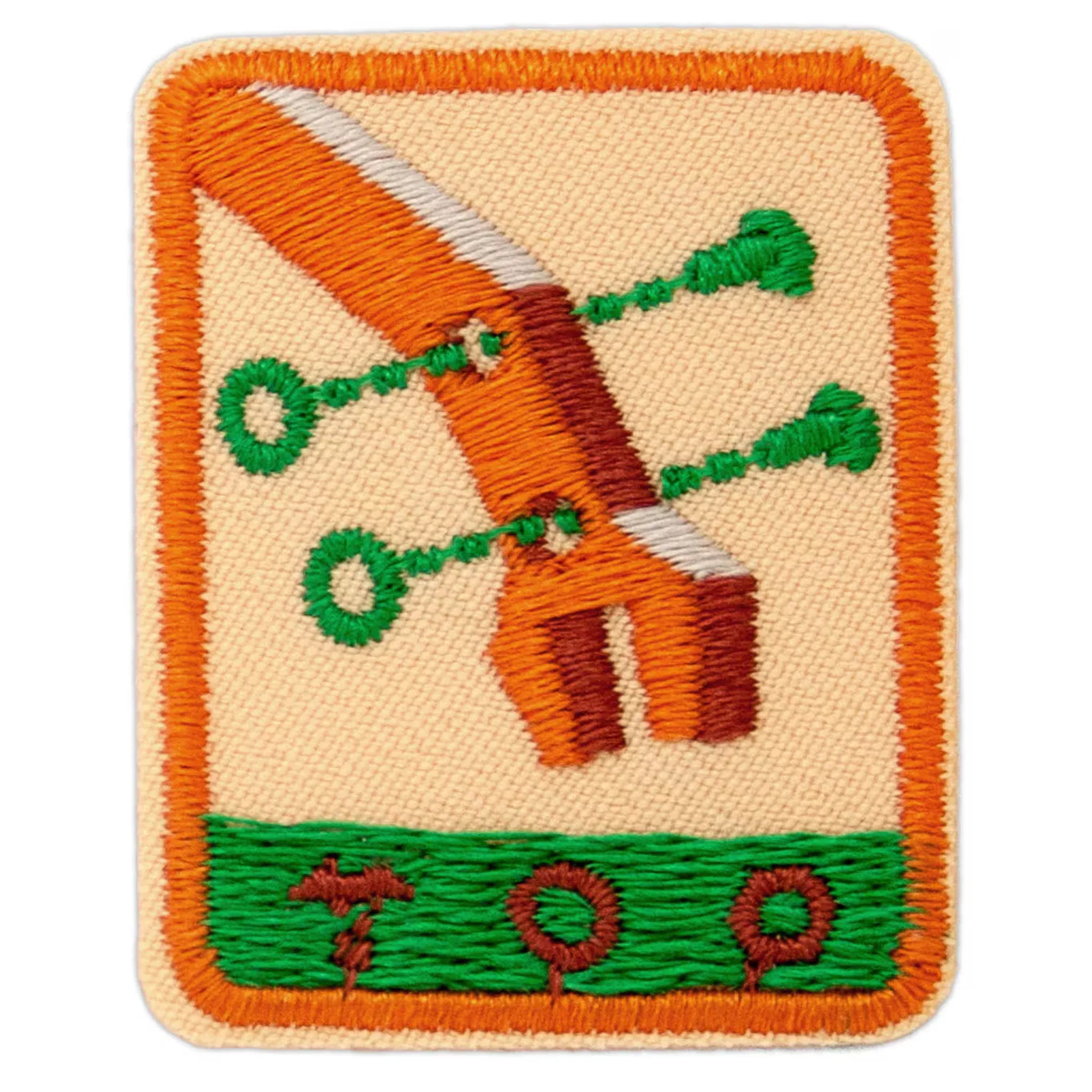 Girl Scouts Senior Designing Robots Badge