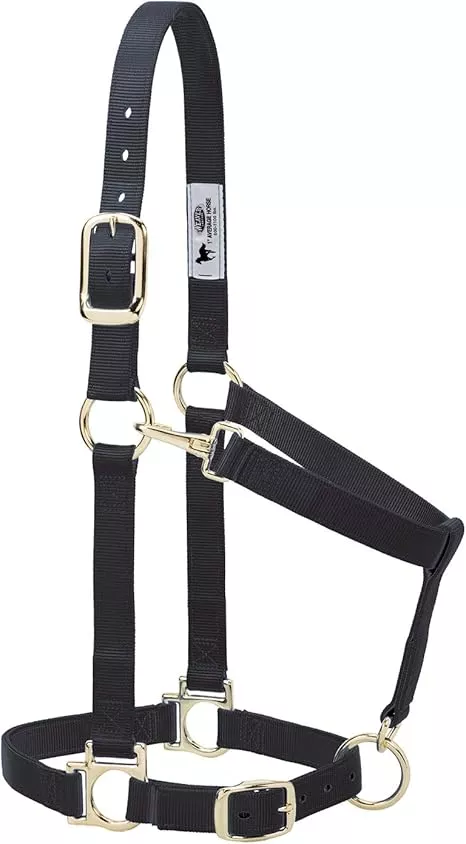 HALTER SM HORSE BLACK