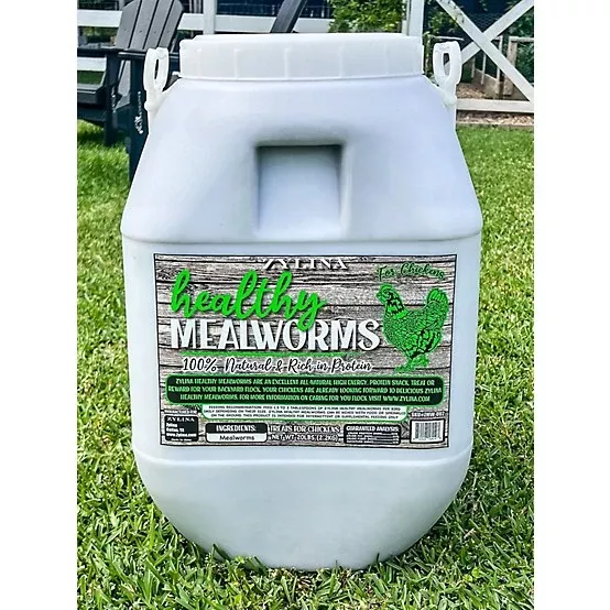 Healthy Mealworms20lb Bucket