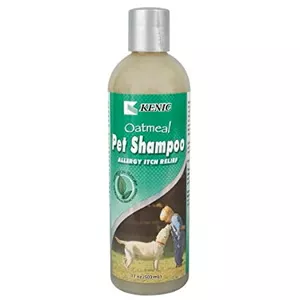 KENIC OAT-COND SHAM 17 OZ