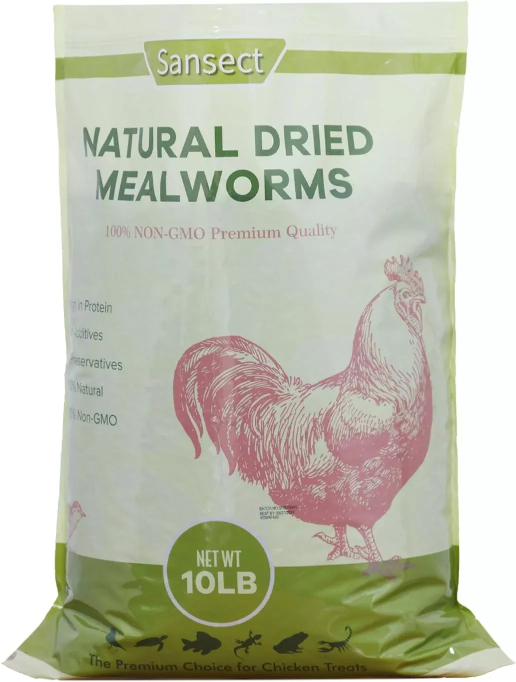 MEALWORMS 10LBS