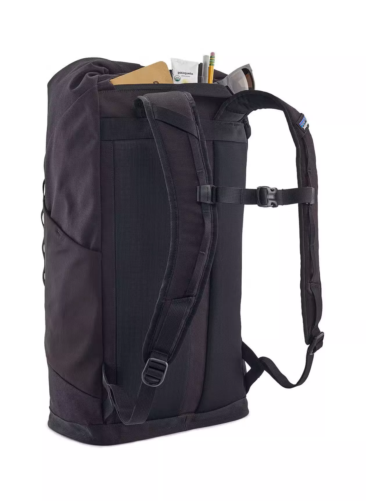 Patagonia Fieldsmith Roll Top Pack