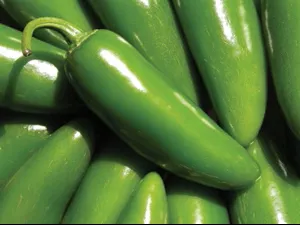 Pepper, Jalapeno