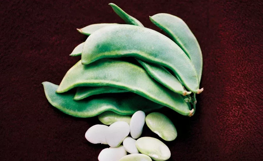 Pole Lima Bean