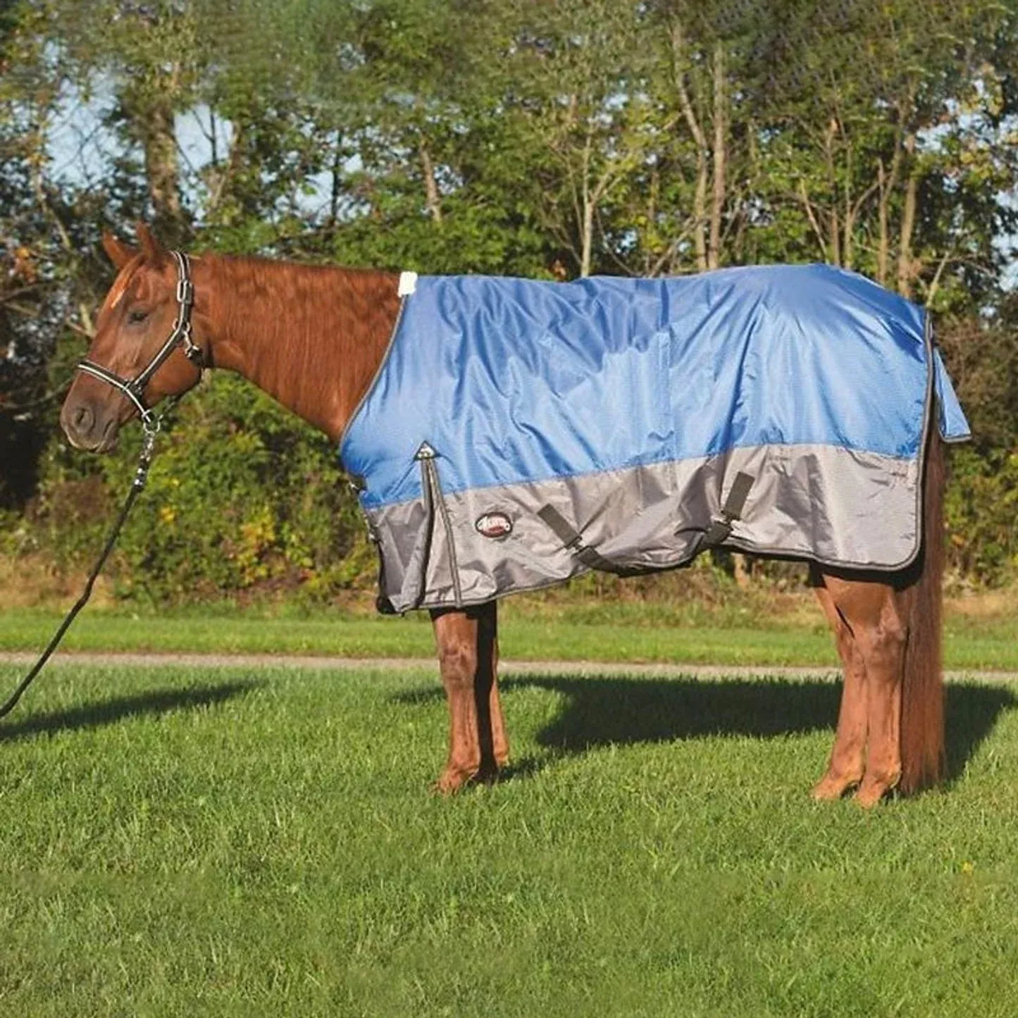 PREMIUM RAIN SHEET BLUE 81