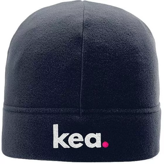 Richardson Microfleece Beanie