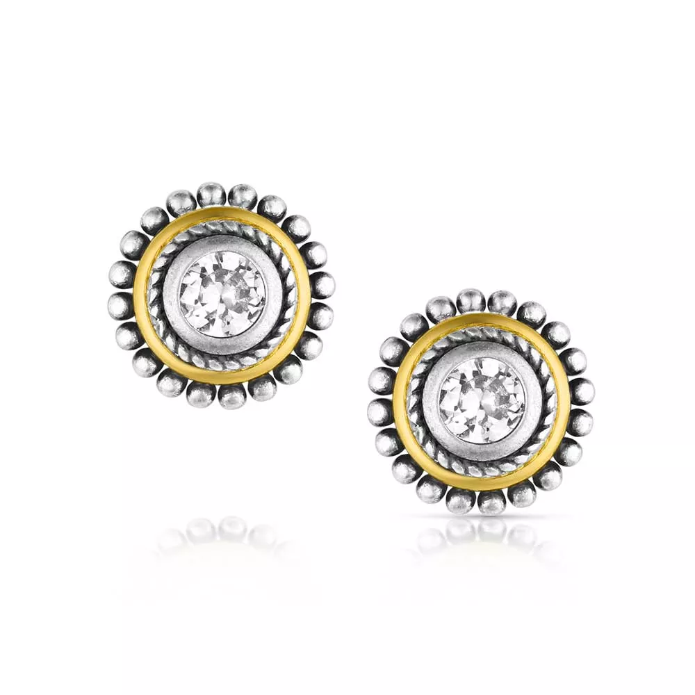 Sharpshooter Post Earrings