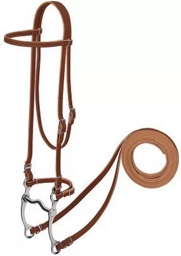 SINGLE CHEEK PONY BRIDLE SUNSET