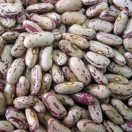 Speckled butter beans