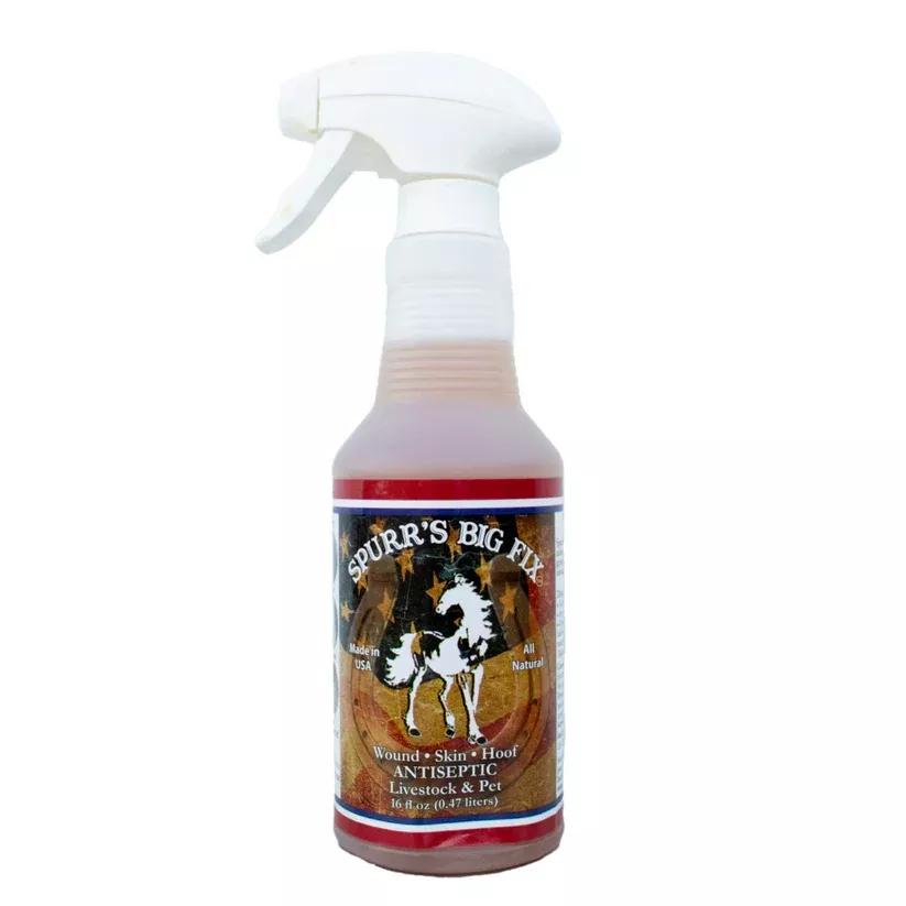 SPURR'S BIG FIX 16 OZ