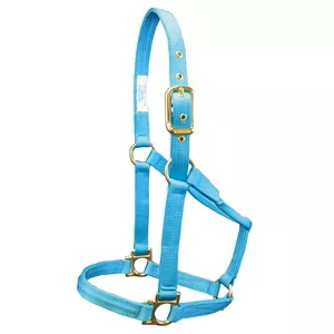 Valhoma “Q” Halter